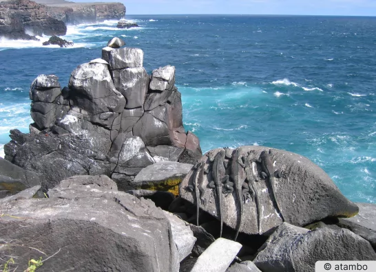 Traumreise zu den Galapagos-Inseln für atemberaubende Natur - atambo