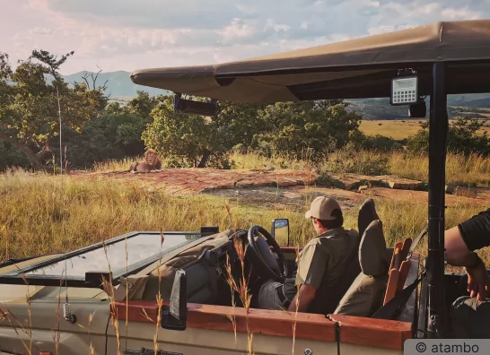 Traumreise Südafrika - atambo