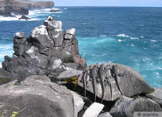 Traumreise Galapagos - atambo