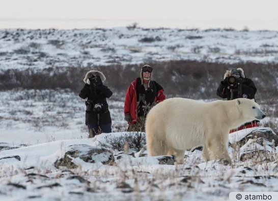 Traumreise Antarktis - atambo