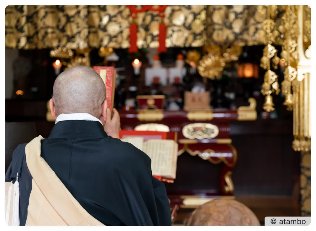 Ferdinand C. erzählt von seiner Reise nach Japan