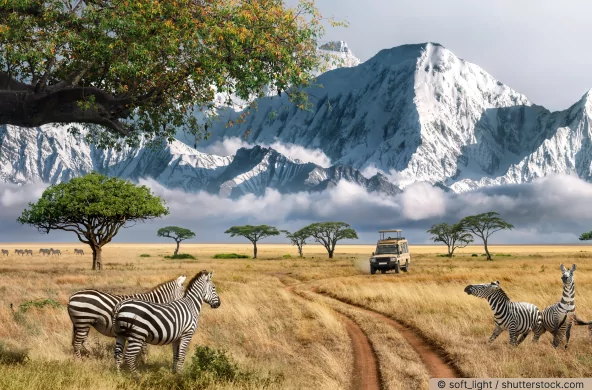 Traumreise Afrika - atambo