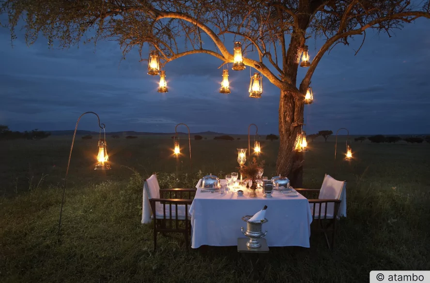 Traumreise mit einem Bush Dinner in Afrika - atambo